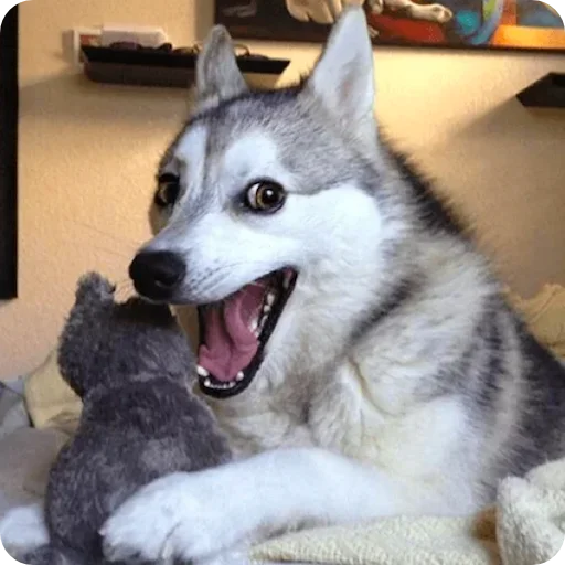 Стикер el paquete de pegatinas spectacularrrr - 9