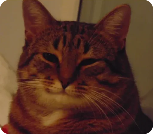 Стикер el paquete de pegatinas spectacularrrr - 8