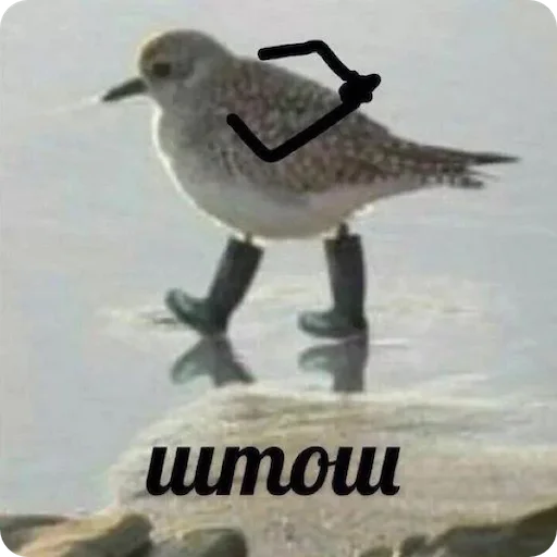 Стикер el paquete de pegatinas spectacularrrr - 5