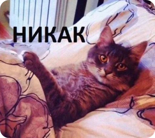 Стикер el paquete de pegatinas spectacularrrr - 1