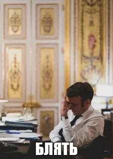 Sticker Макрон - 5