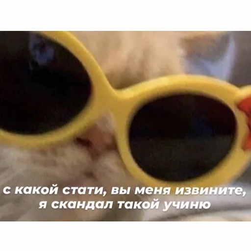 accessory sunglasses spectacles