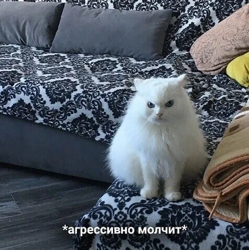 комнатный кошки малого и среднего размера подушка