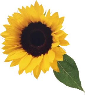 Стикер cursed emoji, and other - 8