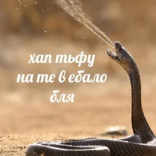 Sticker грустный серпентарий - 10