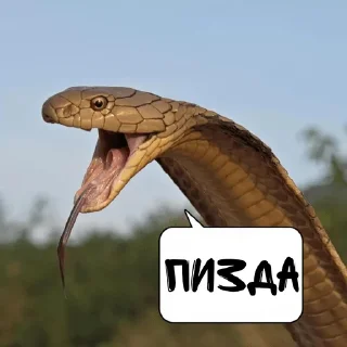 Sticker грустный серпентарий - 2