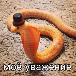 Sticker грустный серпентарий - 11