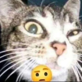 Sticker Emotionalized / @devule - 0