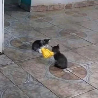 Sticker Emotionalized / @devule - 3