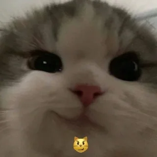 Sticker Emotionalized / @devule - 1