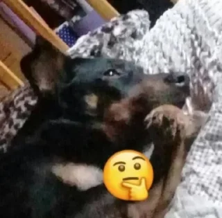 Sticker Emotionalized / @devule - 11