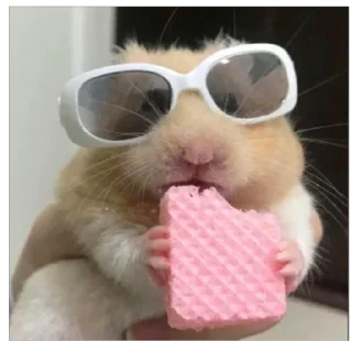 Sticker Больше стикеров 👉🏻 @stickertg4 - 1