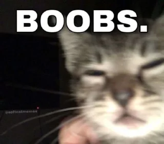 Sticker англичоночка (2) :: @blomstrenderoses - 5