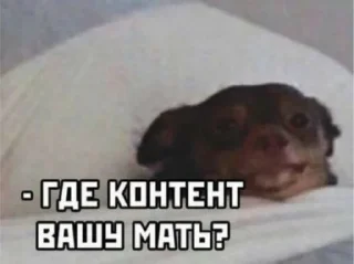 Sticker англичоночка (2) :: @blomstrenderoses - 6