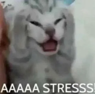 Sticker англичоночка (2) :: @blomstrenderoses - 7