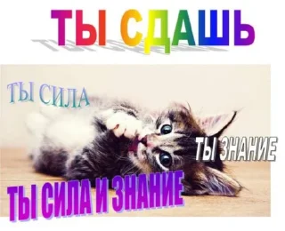 Sticker англичоночка (2) :: @blomstrenderoses - 8
