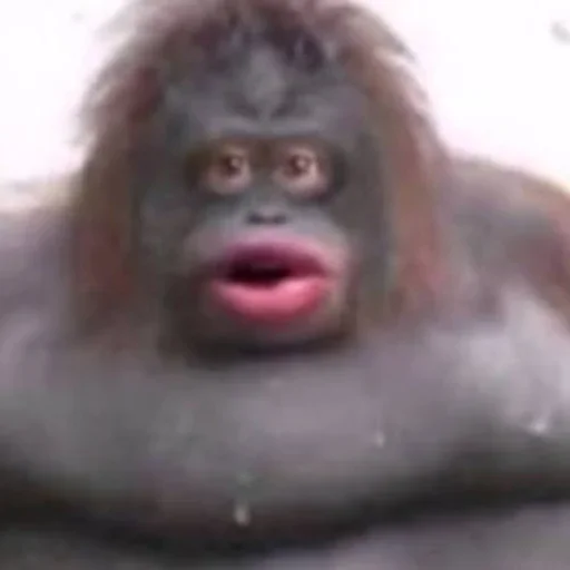 Стикер englishmaymay_by_stickersthiefbot - 1