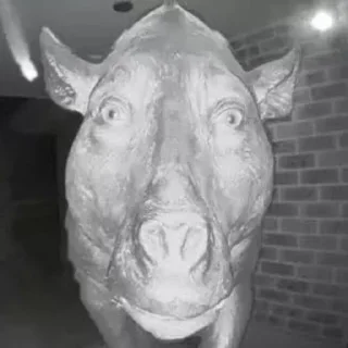 Стикер MayMay English - 10