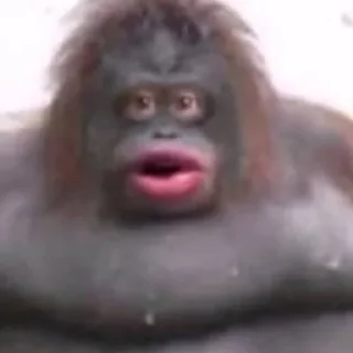 Стикер MayMay English - 6