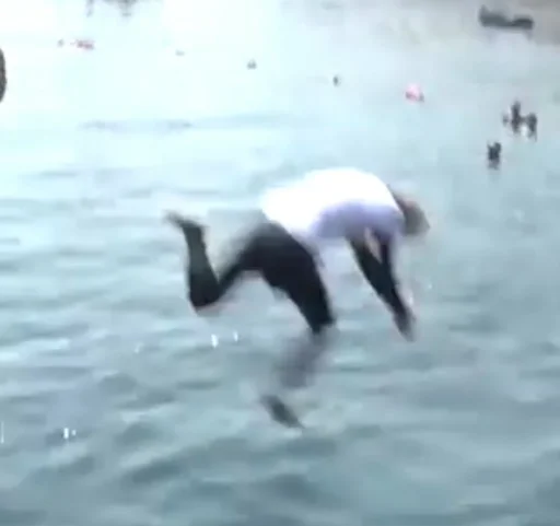 Вода на открытом воздухе дельфин