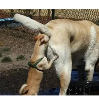 Sticker @eni989 - 10