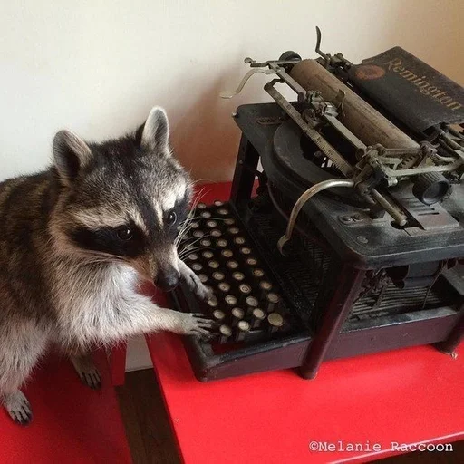 комнатный оргтехника канцелярские товары