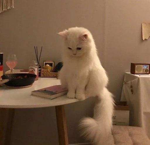 indoor wall furniture