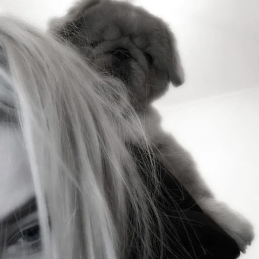 Sticker eowpow_by_fStikBot - 1