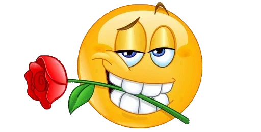 drawing flower illustration