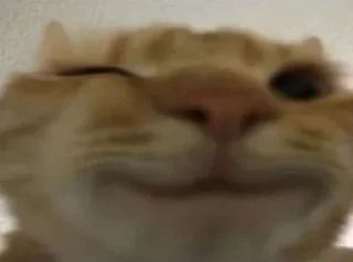 Sticker ëп) @epchikk - 7