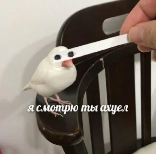 Sticker ëп) @epchikk - 2