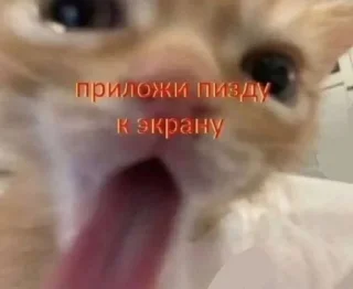 Sticker ëп) @epchikk - 10