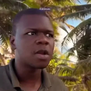 person human face tree