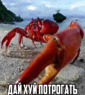 Стикер Больше стиков тут: @stikery4 - 8