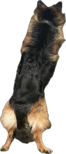 ErgarushkaZhopkaPuhnata - 