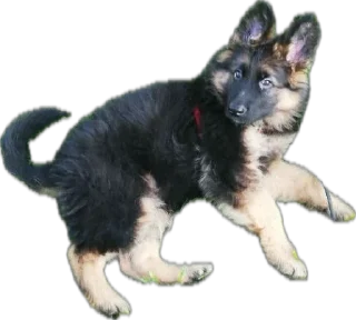 Стикер ErgarushkaZhopkaPuhnata - 11