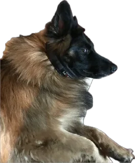 Стикер ErgarushkaZhopkaPuhnata - 6