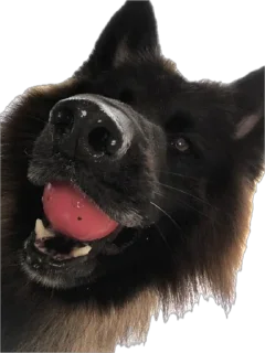 Стикер ErgarushkaZhopkaPuhnata - 1