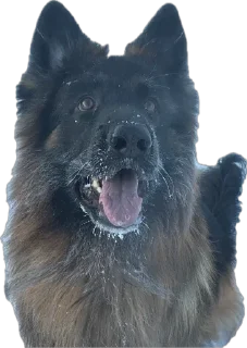 Стикер ErgarushkaZhopkaPuhnata - 5