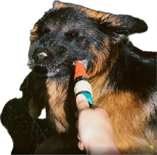 Стикер ErgarushkaZhopkaPuhnata - 10