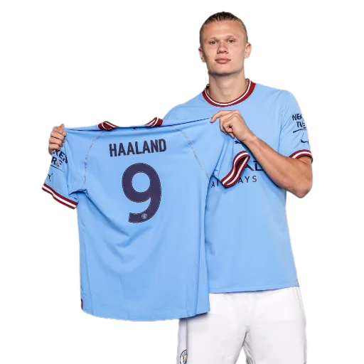 Sticker erling_haaland_9 - 1