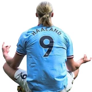 Sticker Haaland by👉 @footballstickers - 10