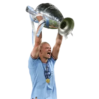 Sticker Haaland by👉 @footballstickers - 6