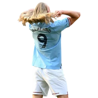Sticker Haaland by👉 @footballstickers - 7