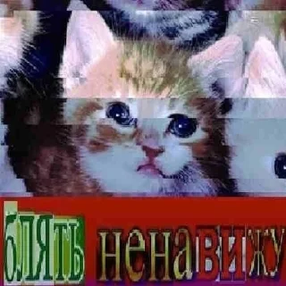 Sticker рагекабра ржаки - 2
