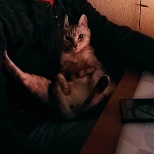 Стикер ermuden - 1