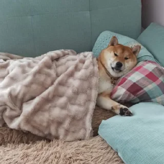 Стикер усталые стикеры - 8