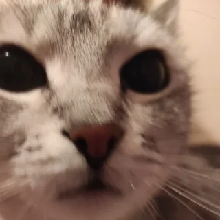 Стикер усталые стикеры - 1