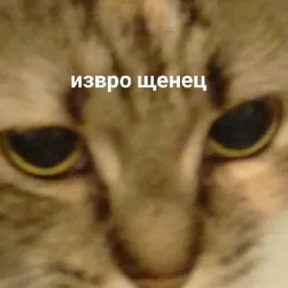 Sticker пиздахаханьки - 7