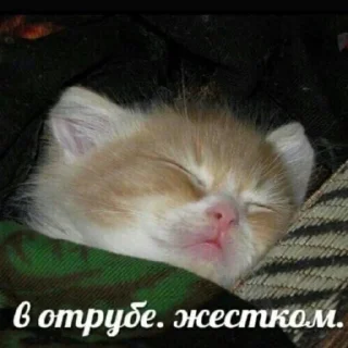 Sticker пиздахаханьки - 2